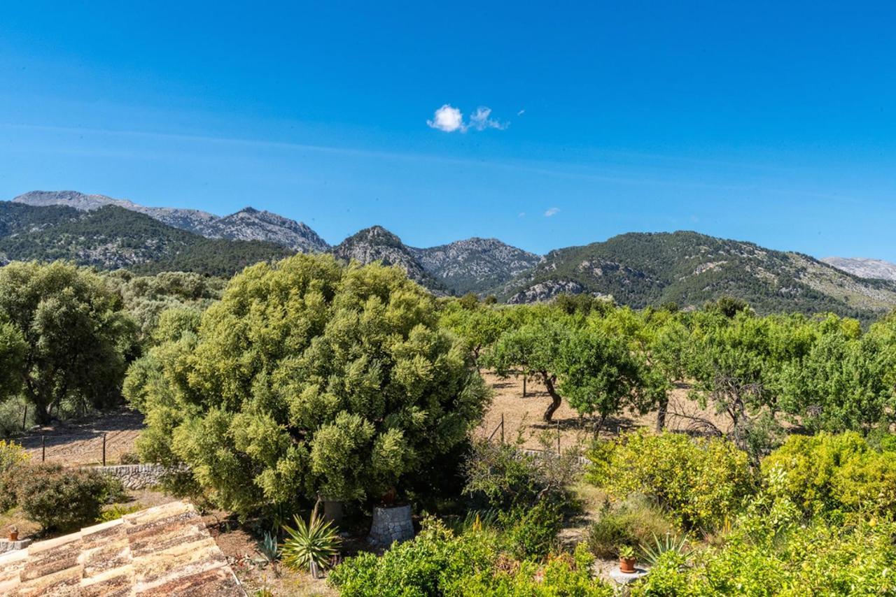 Finca Son Arnau Selva  Kültér fotó